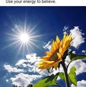 Meet your Posher, Antonia